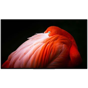Image of Pro Display XDR - Nano-texture Glass